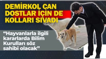 "BOLU'YA MODERN BİR HAYVAN HASTANESİ GELİYOR"