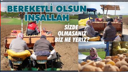 PATATES'İN BAŞKENTİ BOLU'DA EKİM BAŞLADI