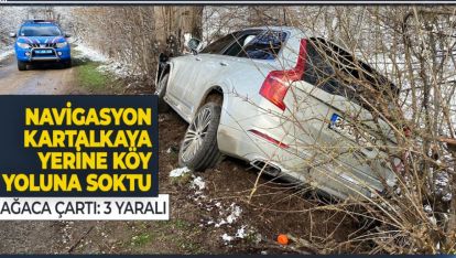 YOLU ŞAŞIRAN AİLE KÖY YOLUNDA KAZA YAPTI