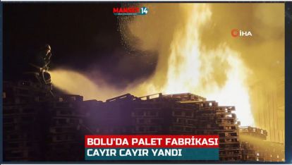 BOLU'DA PALET FABRİKASI CAYIR CAYIR YANDI