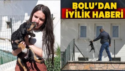 HAVUZA DÜŞEN YAVRU KÖPEĞİ VATANDAŞLAR KURTARDI