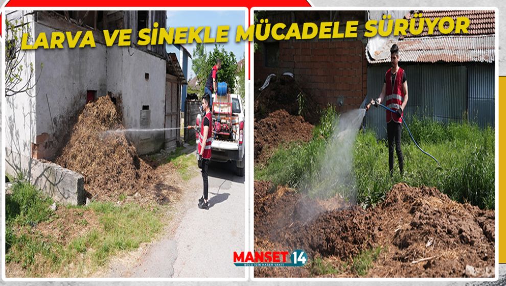 LARVA VE SİNEKLE MÜCADELE SÜRÜYOR