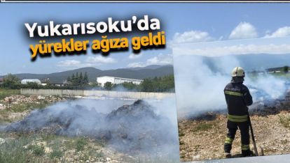 ÇÜRÜK SAMANLAR TUTUŞTU, İTFAİYE SON ANDA YETİŞTİ