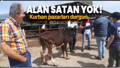 KURBAN PAZARLARINDA SON YILLARIN EN DURGUN GÜNLERİ YAŞANIYOR