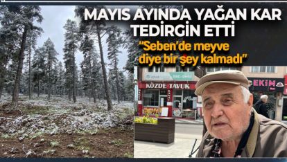 MAYIS AYINDA YAĞAN KAR TEDİRGİN ETTİ