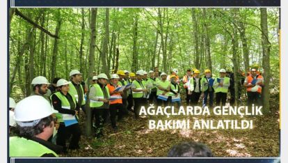 AĞAÇLARDA GENÇLİK BAKIMI ANLATILDI