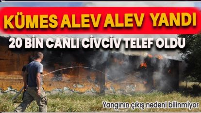 ÇIKAN YANGINDA 20 BİN CANLI CİVCİV TELEF OLDU