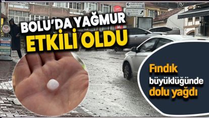 FINDIK BÜYÜKLÜĞÜNDE DOLU YAĞDI