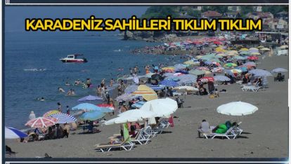 KARADENİZ SAHİLLERİ TIKLIM TIKLIM