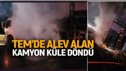 TEM'DE ALEV ALAN KAMYON KÜLE DÖNDÜ