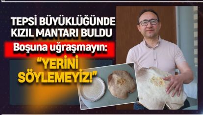 TEPSİ BÜYÜKLÜĞÜNDE KIZIL MANTARI BULDU