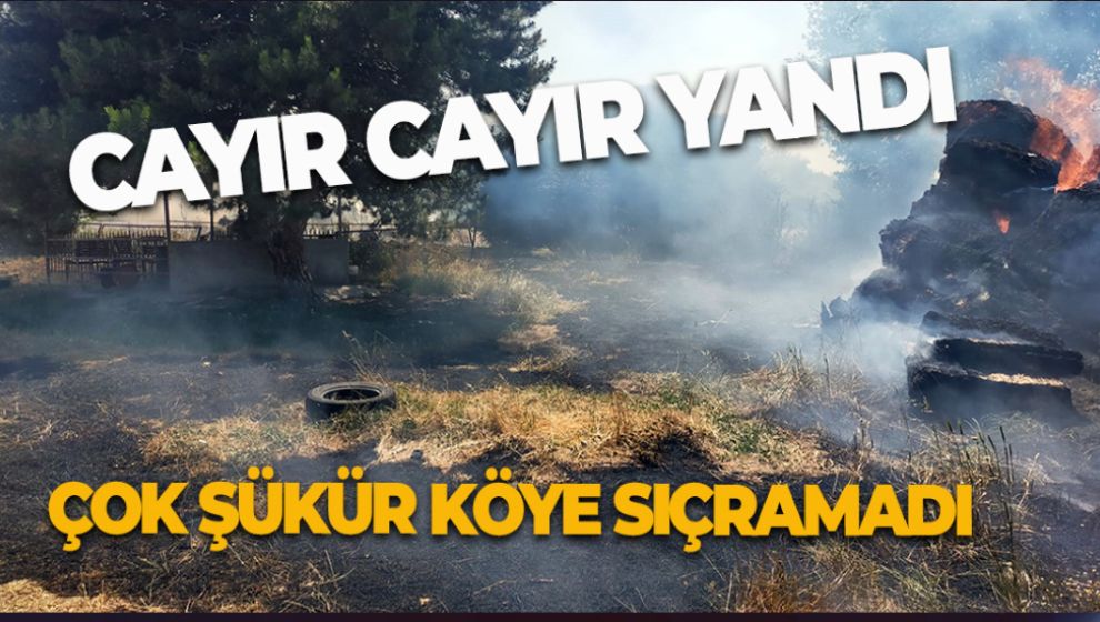 KÖYDE ÇIKAN YANGINDA SAMANLIK CAYIR CAYIR YANDI