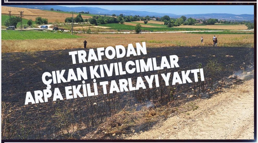 TRAFODAN ÇIKAN KIVILCIMLAR ARPA EKİLİ TARLAYI YAKTI