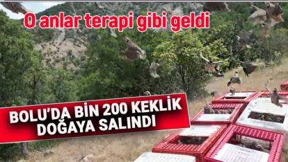 BOLU'DA BİN 200 KEKLİK DOĞAYA SALINDI