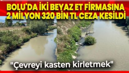 BOLU'DA İKİ BEYAZ ET FİRMASINA 2 MİLYON 320 BİN TL CEZA KESİLDİ