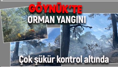 GÖYNÜK'TE ÇIKAN YANGIN PANİĞE NEDEN OLDU