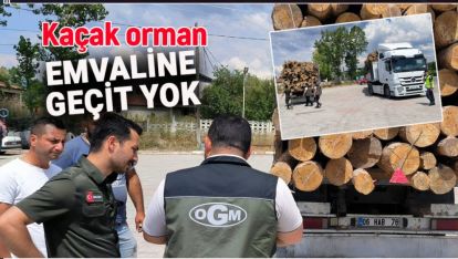 KAÇAK ORMAN EMVALİNE GEÇİT YOK!