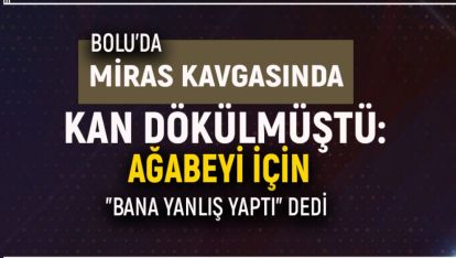 MİRAS KAVGASINDA KAN DÖKÜLMÜŞTÜ: AĞABEYİ İÇİN "BANA YANLIŞ YAPTI" DEDİ