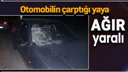 OTOMOBİLİN ÇARPTIĞI YAYA AĞIR YARALANDI