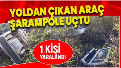 YOLDAN ÇIKAN ARAÇ ŞARAMPOLE UÇTU: 1 YARALI