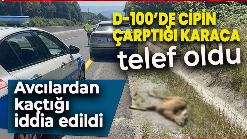 AVCILARDAN KAÇAN KARACA'YA CİP ÇARPTI