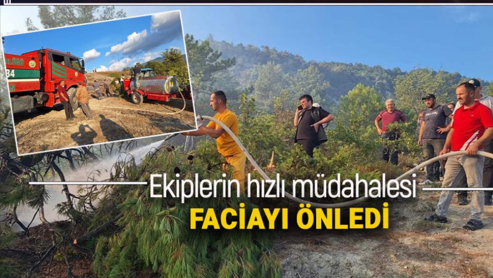 BOLU'DA ÇIKAN ORMAN YANGINI BÜYÜMEDEN SÖNDÜRÜLDÜ