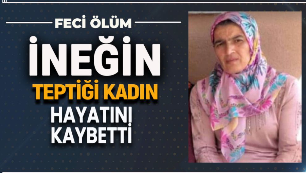 BOLU'DA İNEĞİN TEPTİĞİ KADIN HAYATINI KAYBETTİ