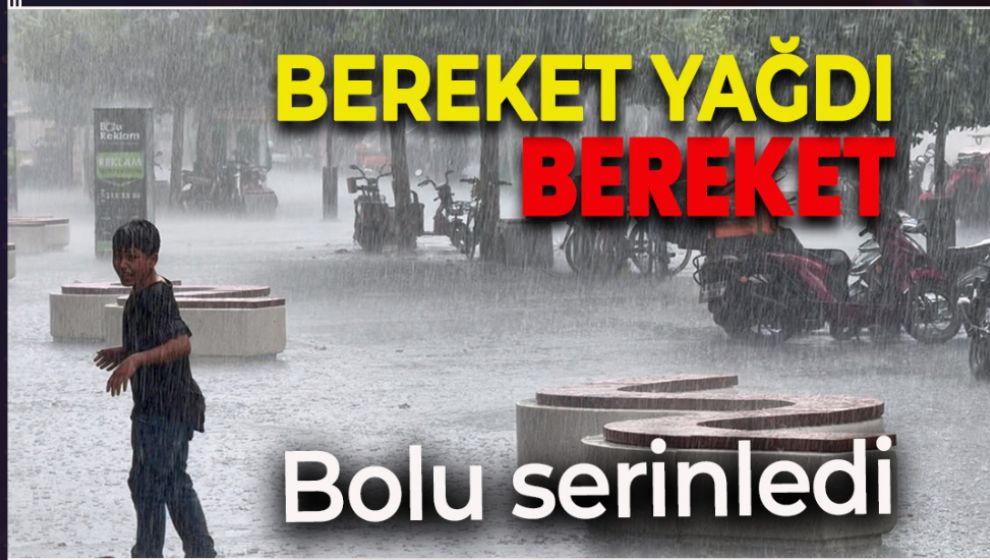 BOLU'DA SAĞANAK HAYATI OLUMSUZ ETKİLEDİ