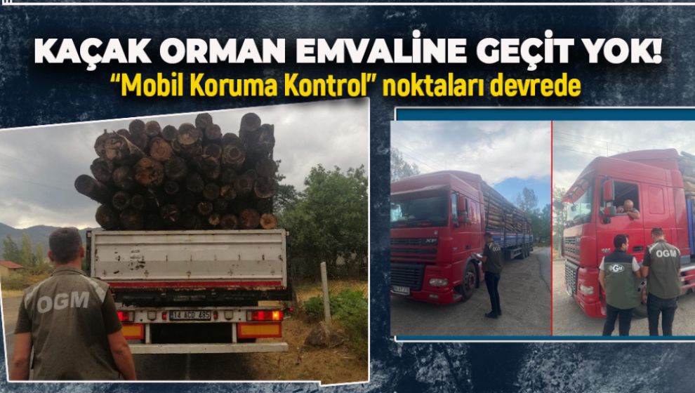 KAÇAK ORMAN EMVALİNE GEÇİT YOK!