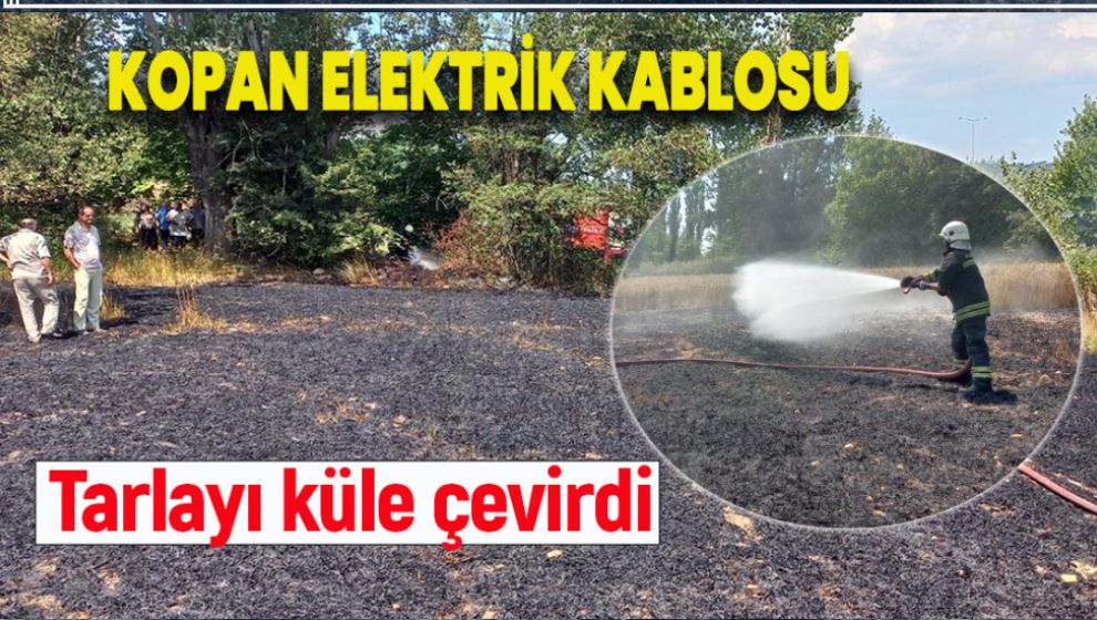 KOPAN ELEKTRİK KABLOSU TARLAYI KÜL ETTİ