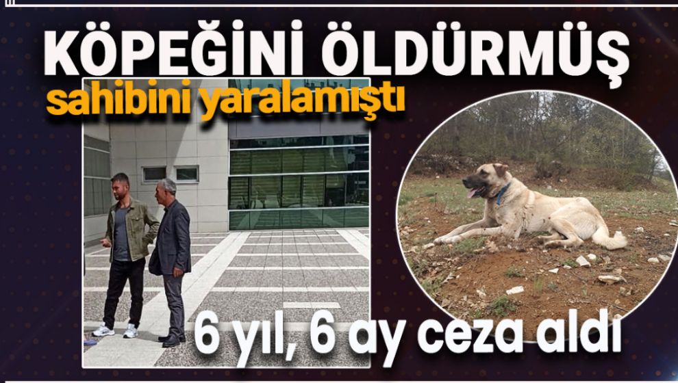 KÖPEĞİ ÖLDÜRÜP, SAHİBİNİN YARALAYAN SANIK 6 YIL 6 AY HAPİS CEZASI ALDI