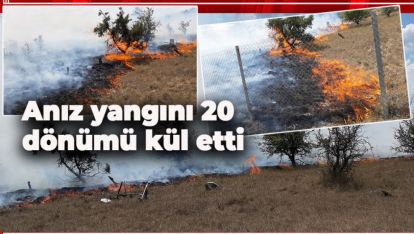 ANIZ YANGINI 20 DÖNÜMÜ KÜL ETTİ: 4 TARLA, 1 MEZARLIK YANDI