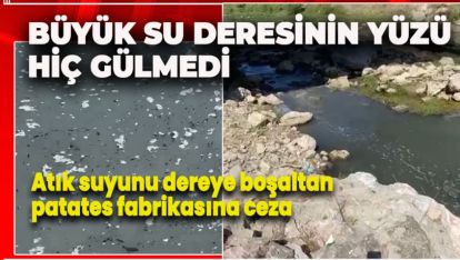 ATIK SUYUNU DEREYE BOŞALTAN PATATES FABRİKASINA CEZA