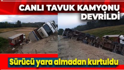 CANLI TAVUK KAMYONU DEVRİLDİ. SÜRÜCÜ YARA ALMADAN KURTULDU