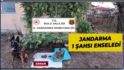 JANDARMA BAHÇESİNE KENEVİR EKEN ŞAHSI ENSELEDİ