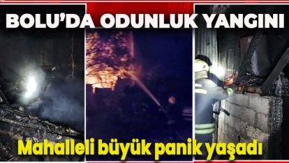 ODUNLUKTA ÇIKAN YANGIN MAHALLEDE PANİK YARATTI