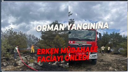 ORMAN YANGININA ERKEN MÜDAHALE FACİAYI ÖNLEDİ