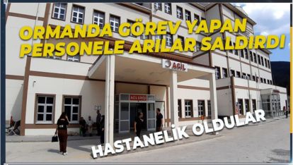 ORMANDA GÖREV YAPAN PERSONELE ARILAR SALDIRDI: HASTANELİK OLDULAR