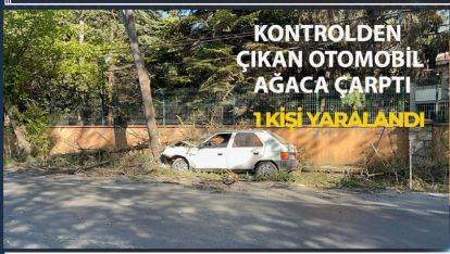 OTOMOBİLİN ÇARPTIĞI AĞAÇ ÜZERİNE DEVRİLDİ, YANGIN ÇIKTI: 1 YARALI