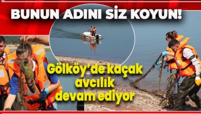 YİNE GÖLKÖY, YİNE YASADIŞI AVCILIK, YİNE KAÇAK AV!