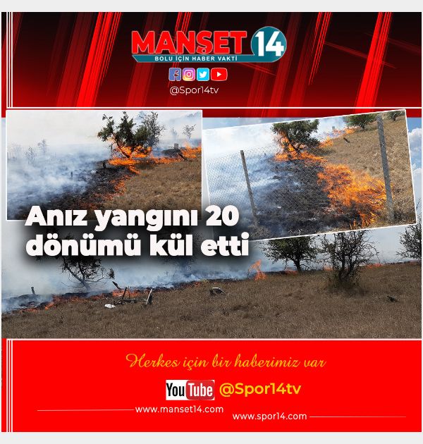 ANIZ YANGINI 20 DÖNÜMÜ KÜL ETTİ: 4 TARLA, 1 MEZARLIK YANDI