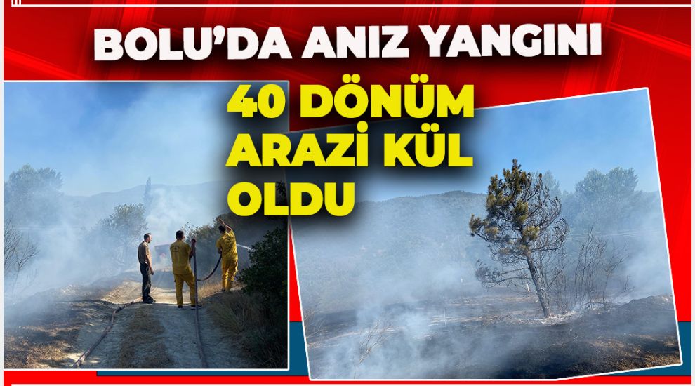 ANIZ YANGINI 40 DÖNÜM ARAZİYİ KÜL ETTİ