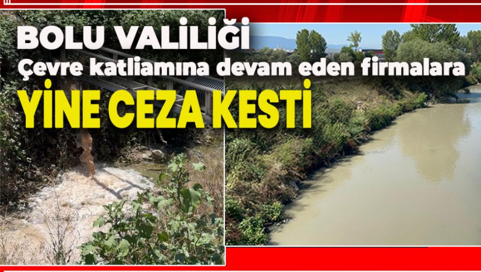 BOLU VALİLİĞİ 3 TAVUK FİRMASINA YİNE CEZA KESTİ