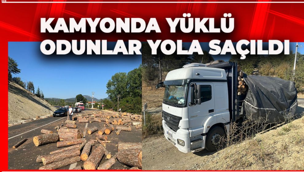 KAMYONDA YÜKLÜ ODUNLAR YOLA SAÇILDI