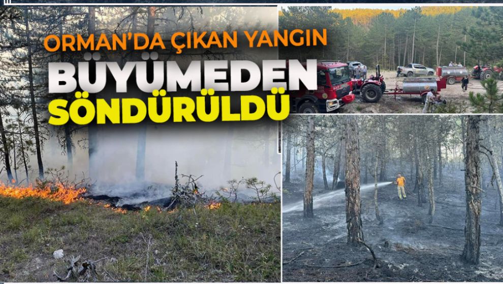 MUDURNU'DA ÇIKAN ORMAN YANGINI BÜYÜMEDEN SÖNDÜRÜLDÜ