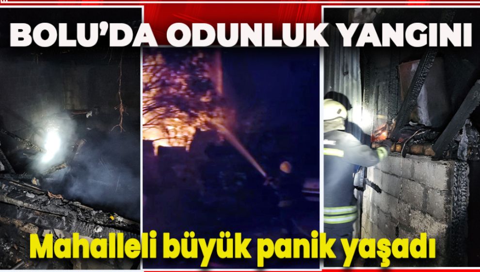 ODUNLUKTA ÇIKAN YANGIN MAHALLEDE PANİK YARATTI