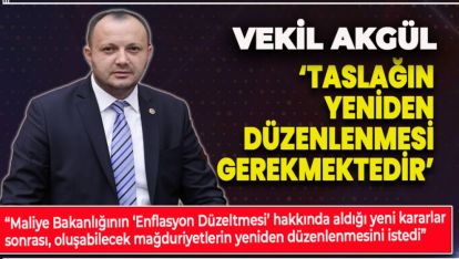 AKGÜL; ‘TASLAĞIN YENİDEN DÜZENLENMESİ GEREKMEKTEDİR'