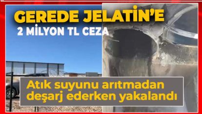 ATIK SUYU ARITMADAN DOĞAYA SALAN FİRMAYA CEZA