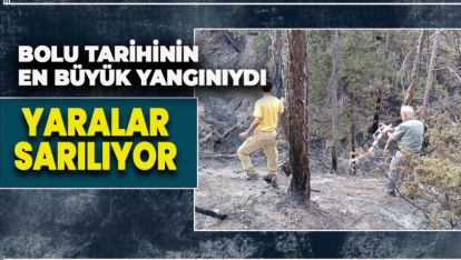 BOLU TARİHİNİN EN BÜYÜK YANGINININ YARALARI SARILIYOR