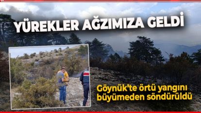 GÖYNÜK'TE YİNE YÜREKLERİMİZ AĞZIMIZA GELDİ